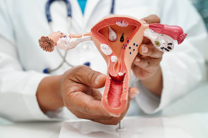 Primeira consulta com ginecologista: o que meninas e adolescentes esperam