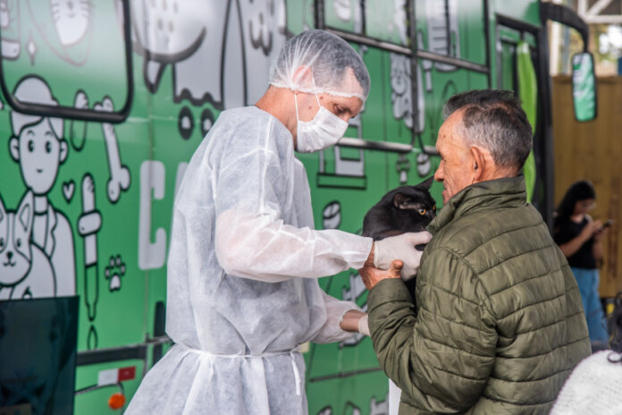 Paranaguá vacina cães e gatos contra raiva de 13 a 16 de outubro