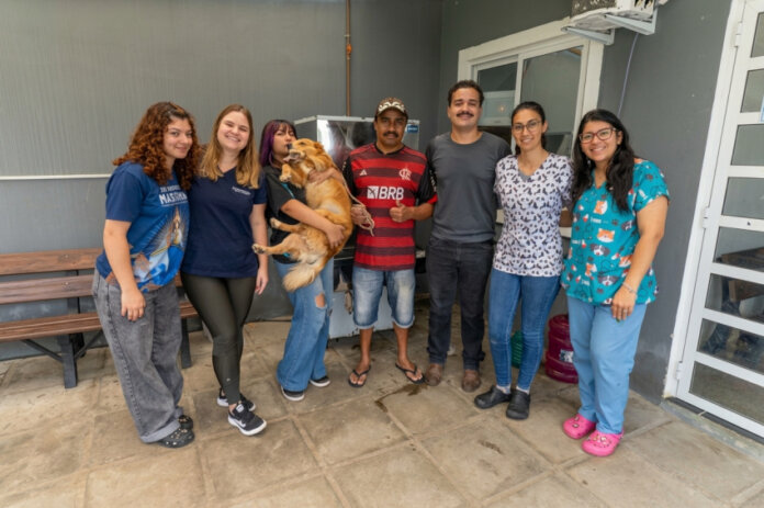 Paranaguá vacina cães e gatos contra raiva em mutirão nos dias 14, 15 e 16