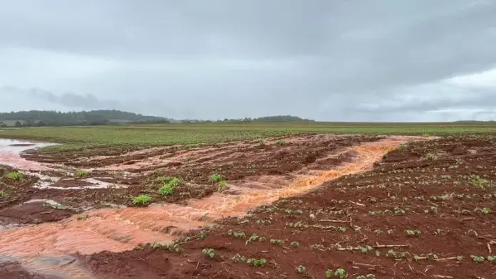 Chuvas danificam estradas e lavouras em Marechal Cândido Rondon, prefeitura mobiliza equipes