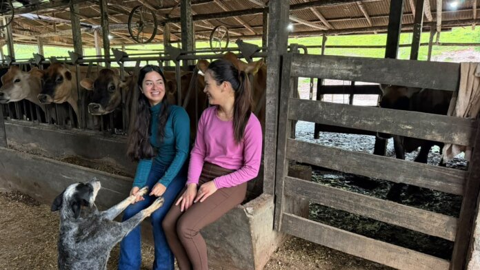Mãe e filha levam experiência e estudo para a produção leiteira em Francisco Beltrão