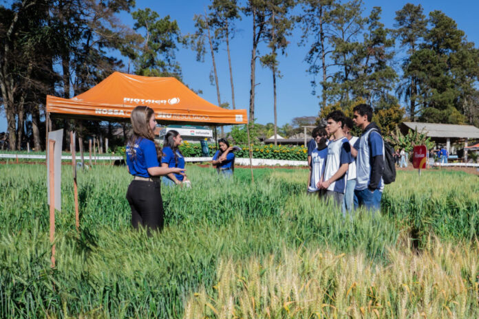Colégio Agrícola de Apucarana abre inscrições para técnico em Agropecuária