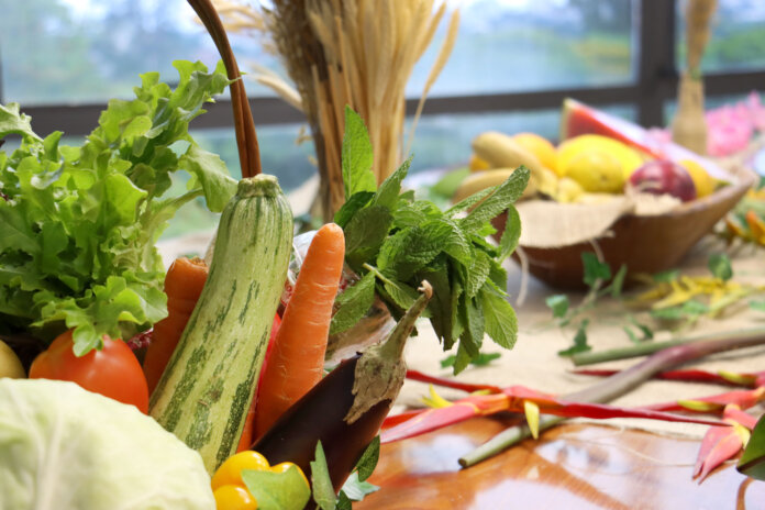 Semana Municipal da Alimentação começa terça em Londrina