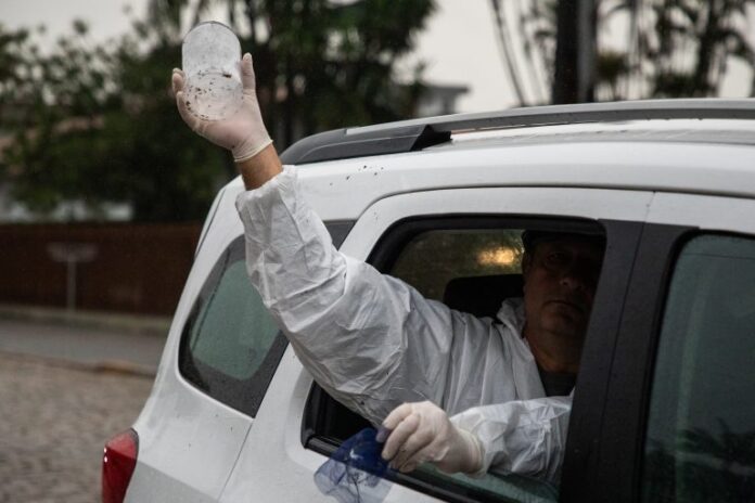 Cambé libera mosquitos com bactéria Wolbachia para combater dengue