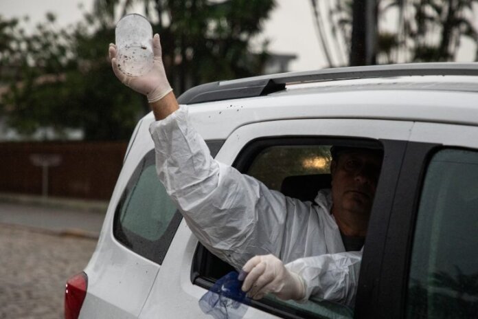 Cambé libera Wolbitos para reduzir transmissão de dengue