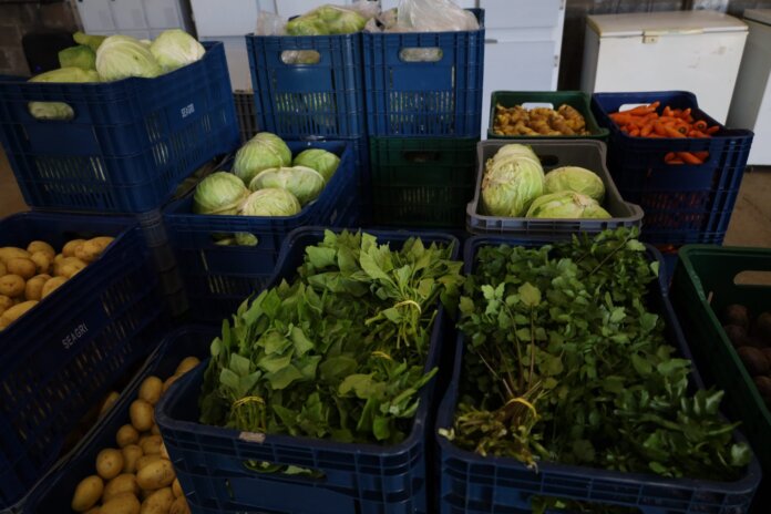 Guarapuava distribui 120 kits de alimentos da agricultura familiar por semana