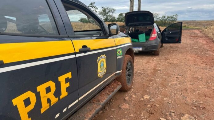 PRF apreende 154 kg de drogas em perseguição na região de Maringá