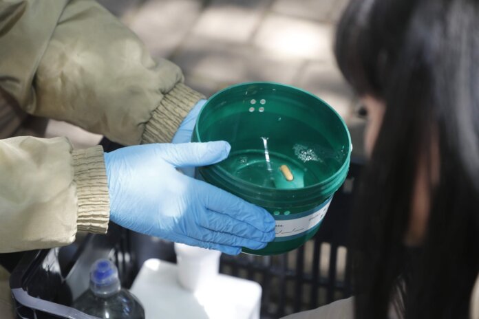 Cascavel libera mosquitos com Wolbachia para combater dengue em 17 bairros
