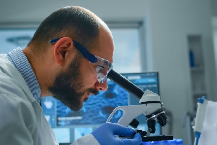 Hospital Universitário de Maringá abre vaga para médico geneticista: inscrições até 1º de novembro