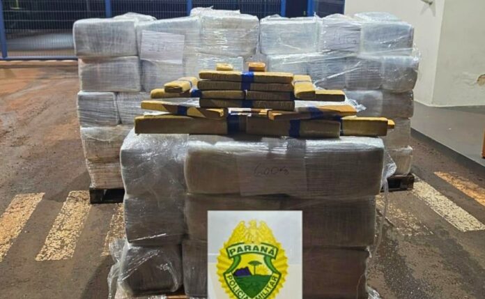 Caminhoneiro preso com 2,8 toneladas de maconha escondidas em carga de leite na PR-323