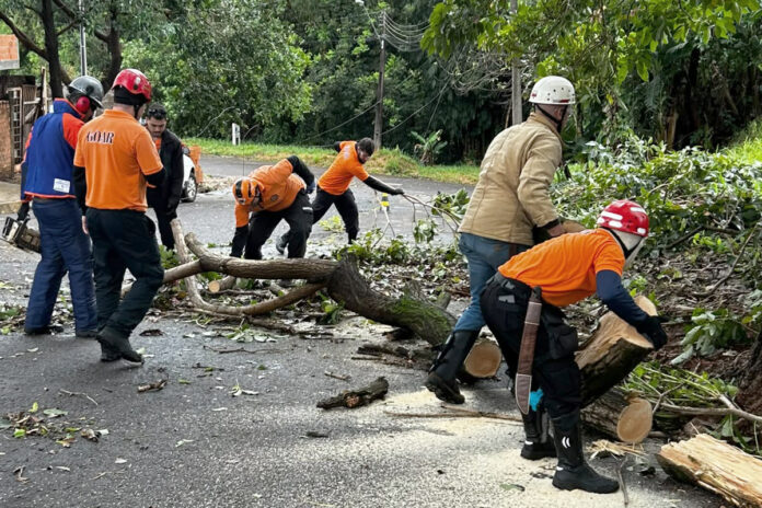Temporal em Londrina deixa 121 ocorrências, região Norte é a mais atingida
