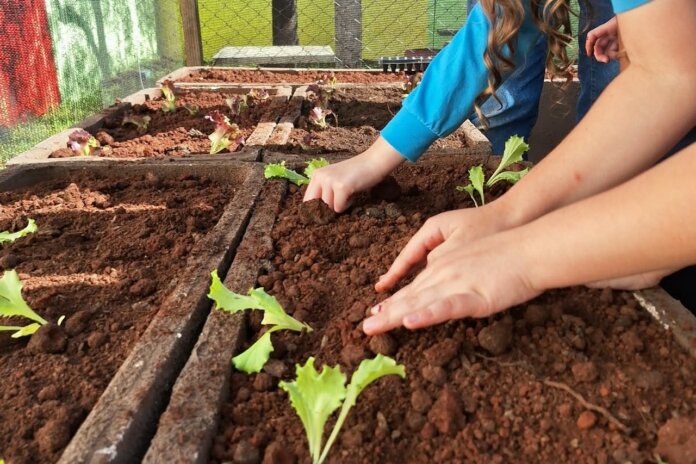 Londrina mobiliza mil pessoas na Semana da Alimentação com hortas, oficinas e palestras