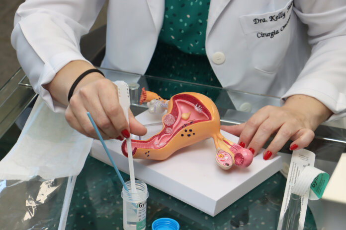 Londrina começa a usar teste de DNA para detectar câncer de colo de útero