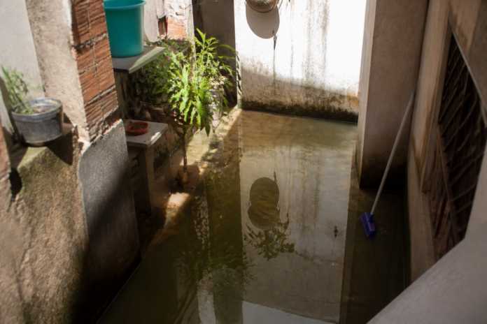 Dengue em Paranavaí: El Niño aumenta risco e exige limpeza em casa
