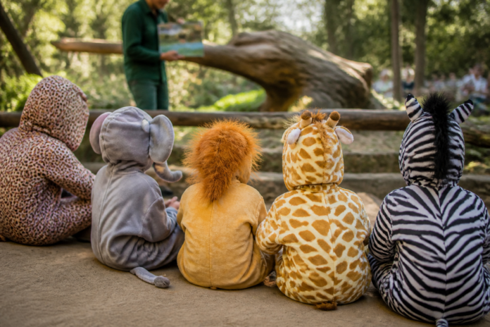 Zoo Park Foz abre concurso de fantasias de animais no Dia das Crianças