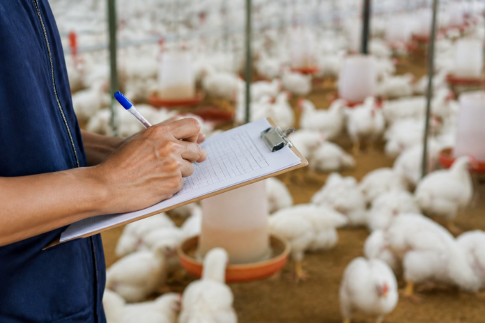 Aviagen oferece treinamento técnico para avicultores em Pato Branco