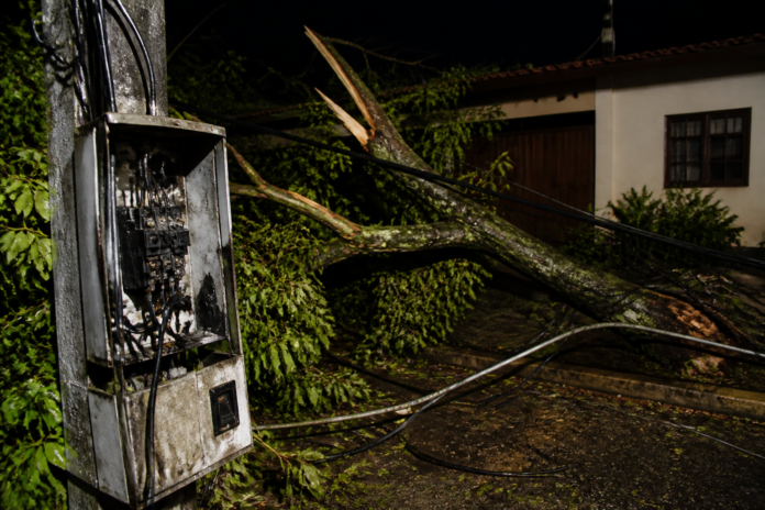 Família de Apucarana fica 16 dias sem energia após temporal, luz volta após reportagem
