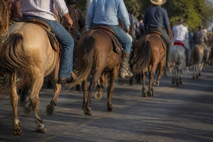 Arapongas terá cavalgada no domingo do aniversário