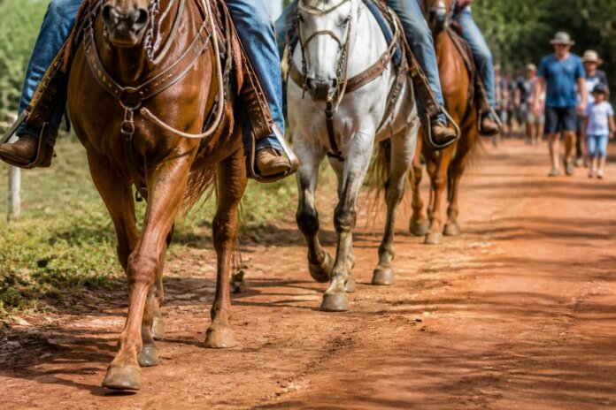 Cavalgada da Vila Reis reúne famílias no feriado de 12 de outubro em Apucarana