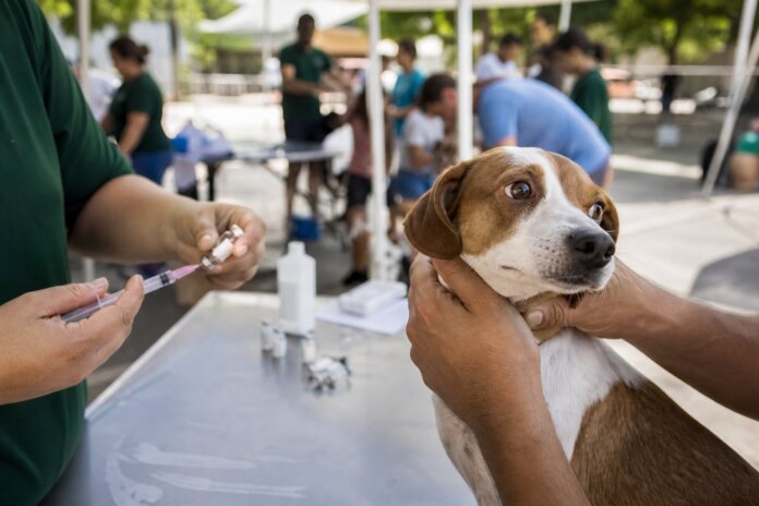 Vet-Móvel Paraná volta a 14 cidades em outubro e novembro