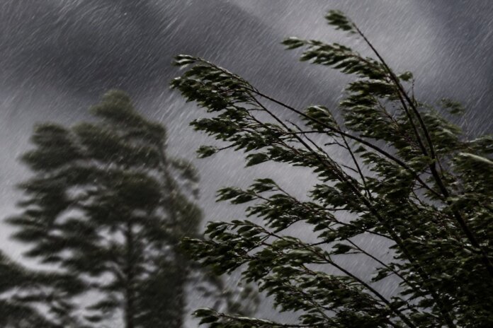 Paraná tem novo alerta de tempestades nesta sexta, Francisco Beltrão registrou ventos de 59 km/h