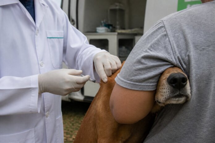 Fazenda Rio Grande recebe VetMóvel: consultas e vacinação gratuita para cães e gatos de 27 a 30 de outubro