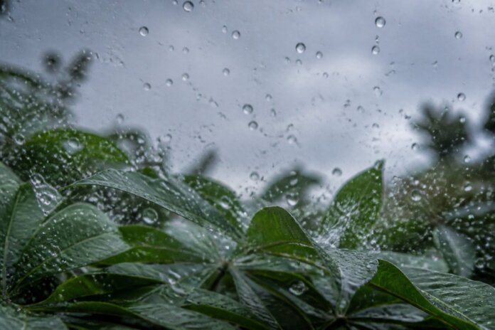 Marechal Rondon pode registrar 76 mm de chuva em um único dia na segunda (12)