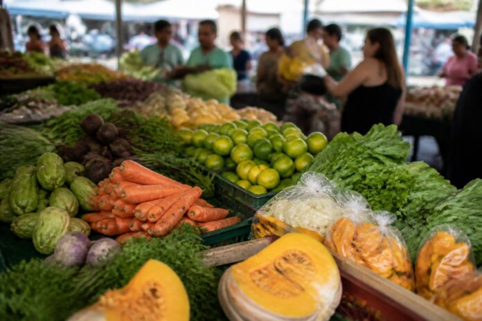 Feira Livre de Araucária muda para o Centro em três datas de outubro