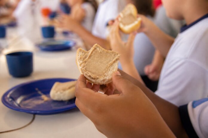 Pãozinho com patê da década de 1970 volta ao recreio das escolas de Guaíra