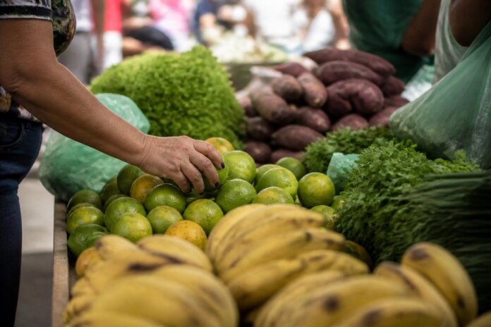 Castro recebe evento sobre alimentação saudável e sustentável nesta sexta (16)
