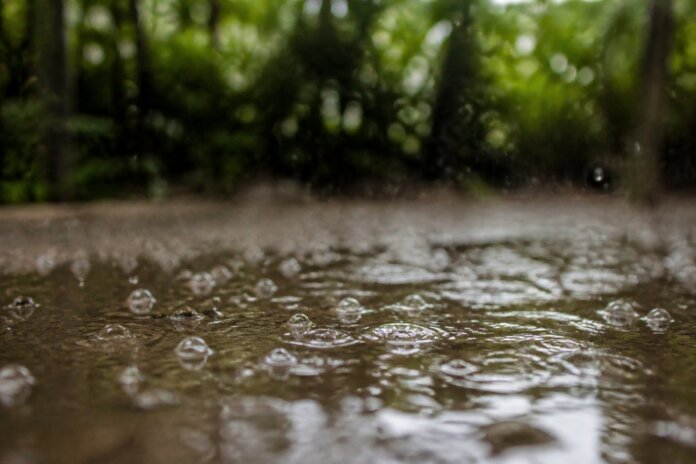 Paraná registra chuva acima de 20 mm em 18 cidades, Ubiratã lidera com 67,8 mm