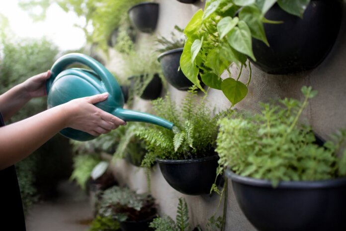 Jardim vertical em casa: 7 formas de cultivar plantas sem ocupar o chão