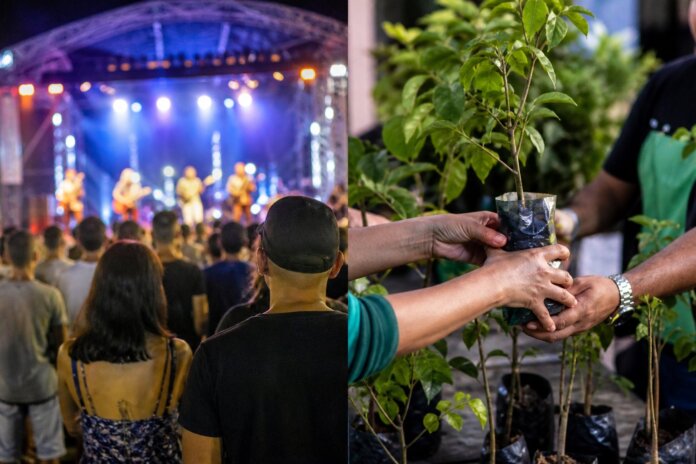 Domingo no Centro encerra programação de primavera em Curitiba com shows e mudas de árvores