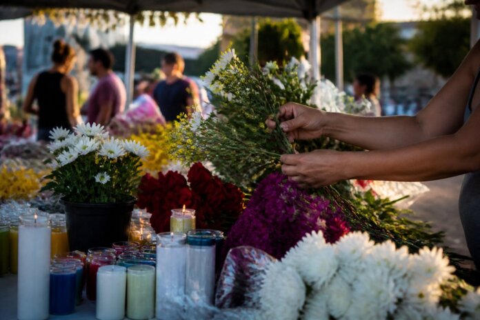 Cambé abre cadastro para vendedores de flores e velas no Finados