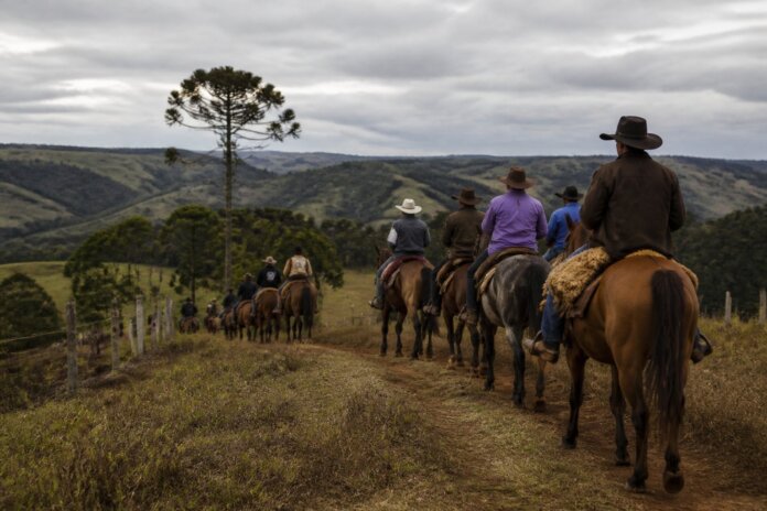 Cavalgada de 14 km em Guaíra passa por pontos históricos nos dias 14 e 15 de novembro