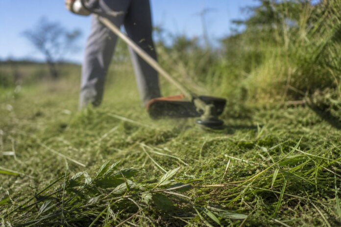 Maringá agenda roçada, podas e asfalto para terça-feira em diversos bairros