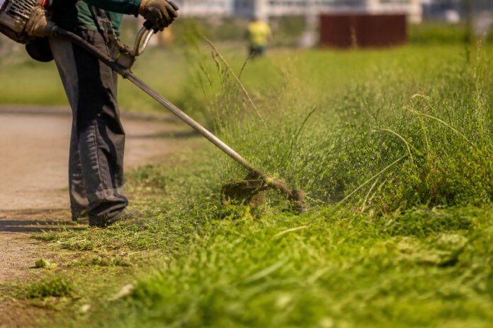 Maringá executa roçada, arborização e obras de asfalto nesta segunda-feira