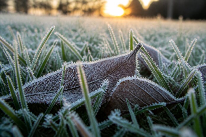 Paraná tem geada e temperaturas abaixo de 5°C neste fim de semana