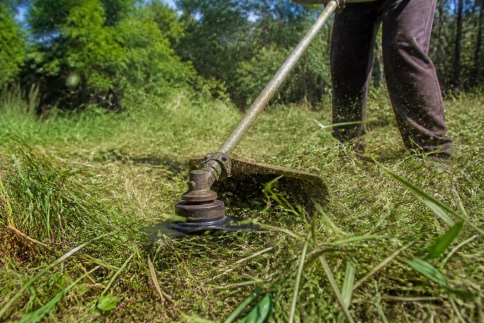 Maringá reforça roçada, poda e asfalto nesta quinta em múltiplos bairros