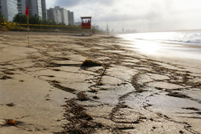 Matinhos monitora praia após revitalização; obras sofrem com ressacas