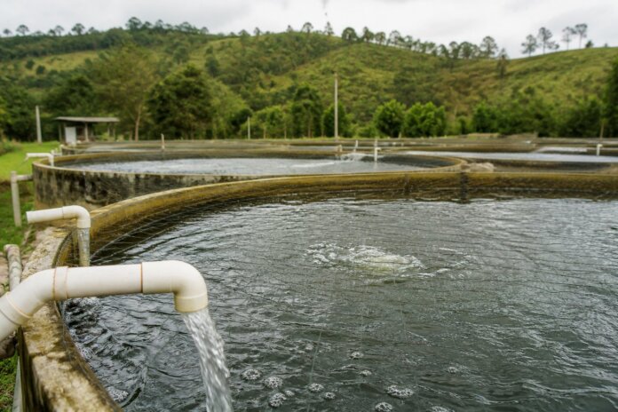 Guaíra e Unipar estudam piscicultura como alternativa econômica para produtores
