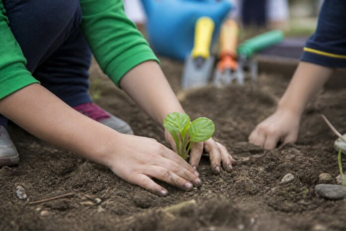 Creches de Rolândia conhecem 13 projetos de educação ambiental em seminário