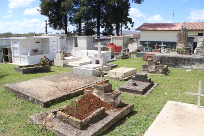 Dia de Finados: Castro alerta sobre dengue em cemitérios durante as chuvas