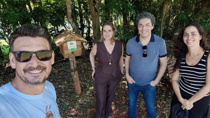 Arapongas estuda criação de meliponários em parques municipais