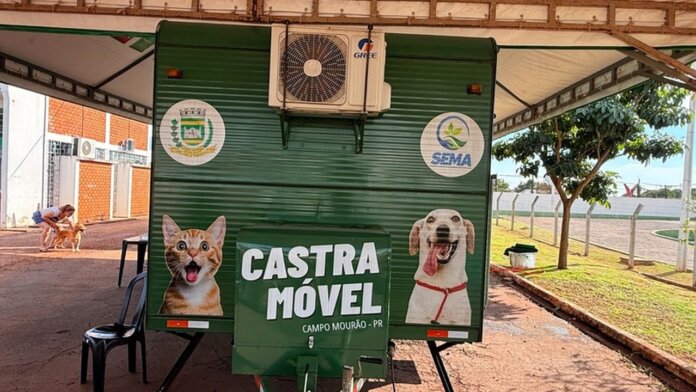 Campo Mourão abre inscrições para castração de animais