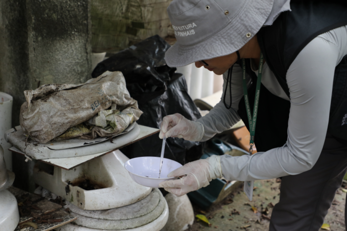 Levantamento sobre focos de Aedes aegypti começa em Pinhais no próximo mês