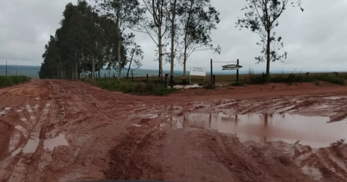 Paranavaí: chuvas danificam 281 km de estradas rurais, Prefeitura faz reparos emergenciais