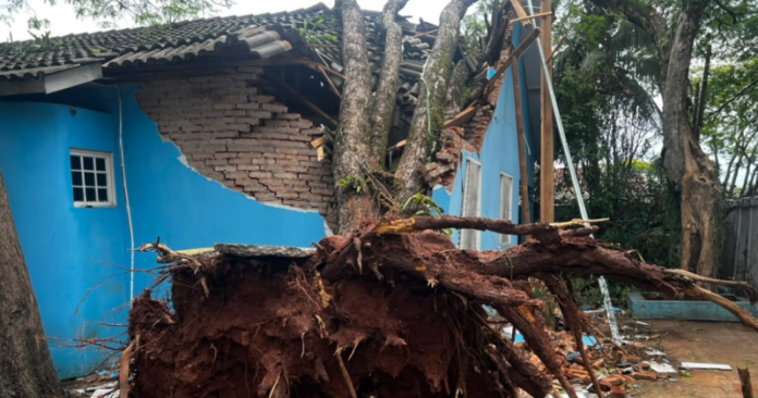 Temporal em Paranavaí derruba árvores e telhados, Defesa Civil entrega 29 telhas