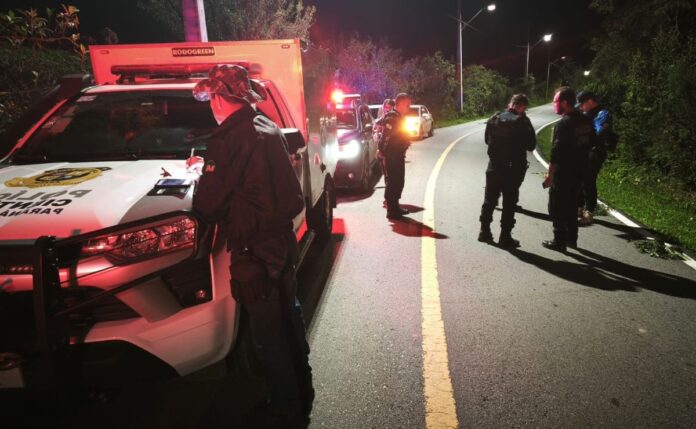 Jovem encontrado morto à margem de rodovia em Araucária