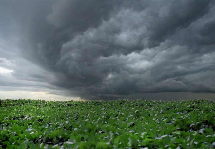 Campo Mourão tem alerta de tempestade para quarta-feira, chuva pode chegar a 57 mm